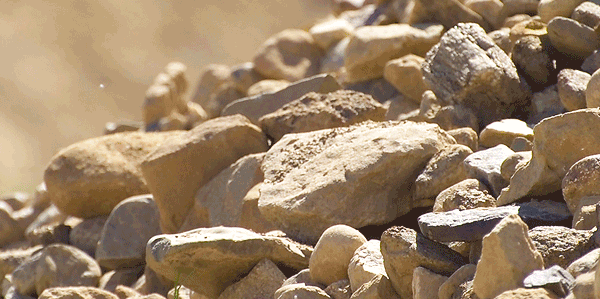 Close-up of various gravel and stone aggregates in sunlight